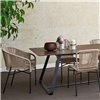 Silla Cricket Varaschin