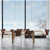 Mesa Essay Fritz Hansen