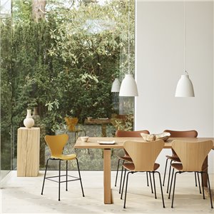 Mesa Essay Fritz Hansen