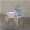 Silla Belloch 2009 SantaCole