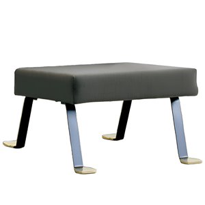 Puff Digamma 1957 SantaCole