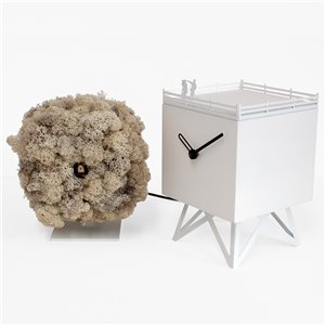 Reloj Birdwatching Progetti