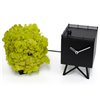 Reloj Birdwatching Progetti