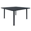 Mesa Baja Darwin Emu