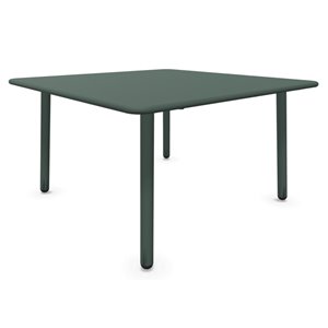Mesa Baja Darwin Emu