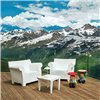 Sillón Bubble Club Kartell