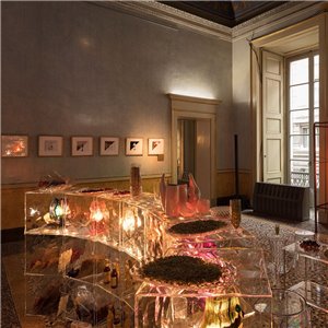 Contenedor Optic Kartell