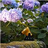 Lámpara suelo Minifrog outdoor Martinelli Luce