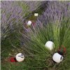 Lámpara sobremesa Kiki cordless outdoor Martinelli Luce