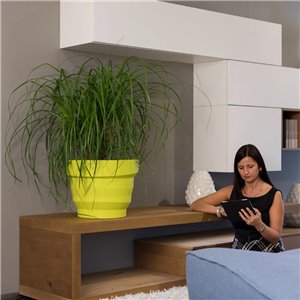 Macetero Rebelot Plust Collection