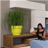 Macetero Rebelot Plust Collection