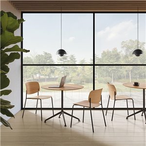 Mesa Lex Inclass