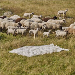 Alfombra Lines White GAN