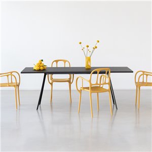 Mesa Baguette Magis