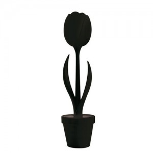 Tulip. Myyour