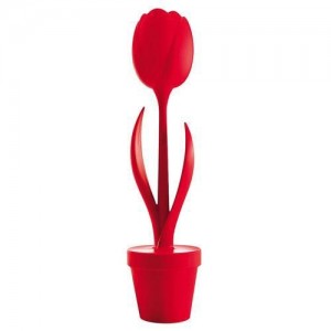 Tulip. Myyour