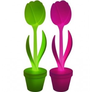 Tulip. Myyour