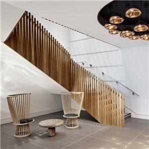 Butaca Fan Tom Dixon