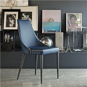 Silla Clara Acero Bontempi