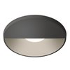 Lámpara techo Circle Wall Washer Vibia