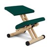 Silla Multi balans Varier