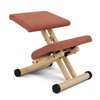 Silla Multi balans Varier