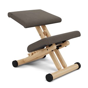 Silla Multi balans Varier