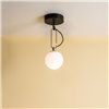 nh 14 Ceiling