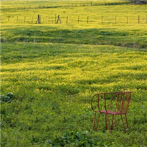 Sillón Olivo iSiMAR