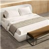 Cama Mollis Paul Rogers