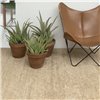 Alfombra Earth Cream