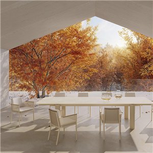 Silla Bosc Gandia Blasco