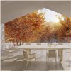 Silla Bosc Gandia Blasco