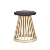 Taburete bajo Fan Tom Dixon