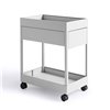 Carrito New Order Hay