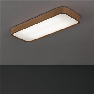 Plafón Nature FM Iluminación