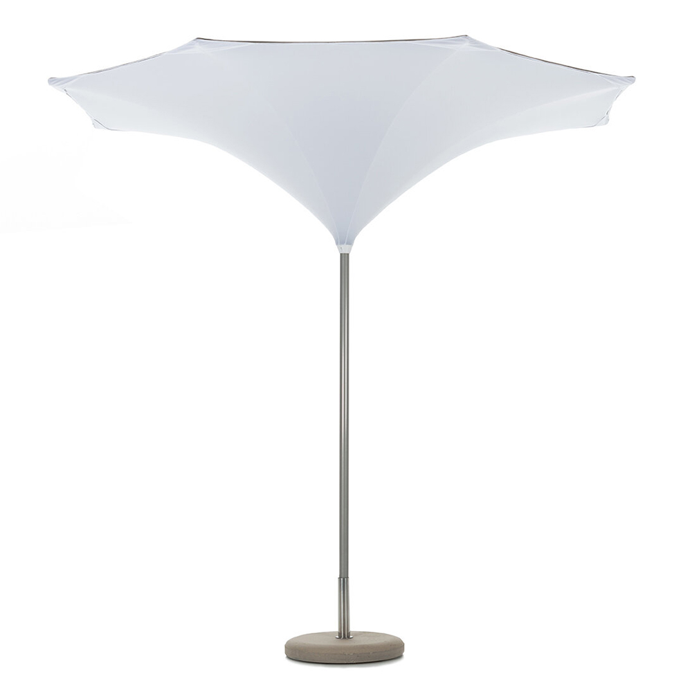 Parasol Plant Fim