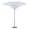 Parasol Plant Fim