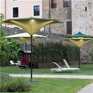 Parasol Plant Fim