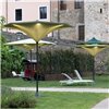 Parasol Plant Fim