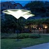Parasol Plant Fim