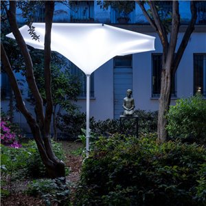 Parasol Plant Fim