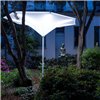 Parasol Plant Fim