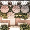 Parasol Maxi Fim