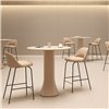Taburete Aleta counter Viccarbe