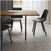 Mesa Anton e15