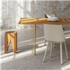 Mesa Anton e15