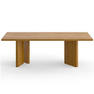 Mesa Kaname e15