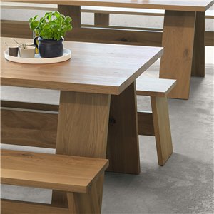 Mesa Fayland e15