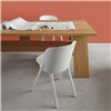 Mesa Fayland e15